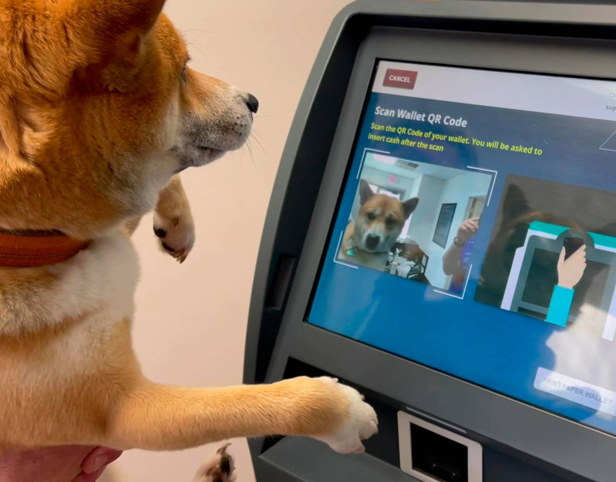 Screenshot of ethical online virtual simulation games interface showing pet health metrics and care options