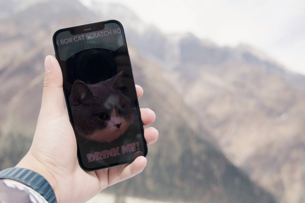 What Does Virtual Pet Do: 7 Proven Ways to Avoid Painful Mistakes in Life Sims